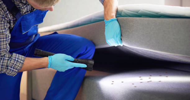 Best Affordable Pest Control Services  in Stafford, TX